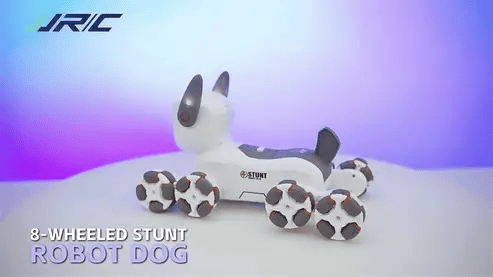 RC Stunt Robot Dog